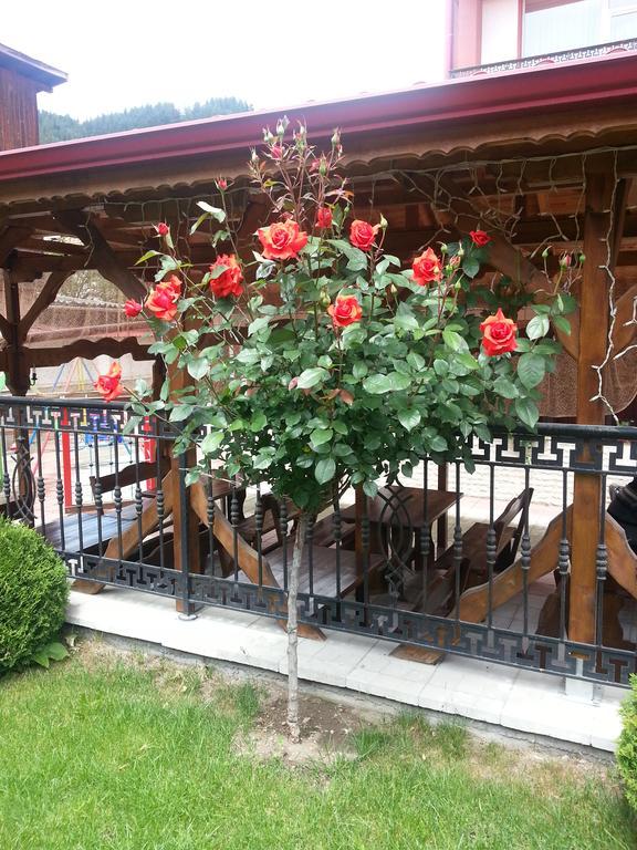 Family Hotel Yola Čepelare Exteriér fotografie